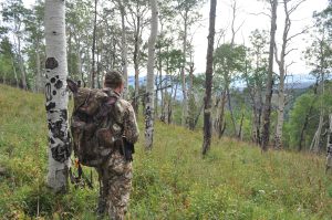 Colorado DIY Archery Elk Hunt with my Badlands Pack.